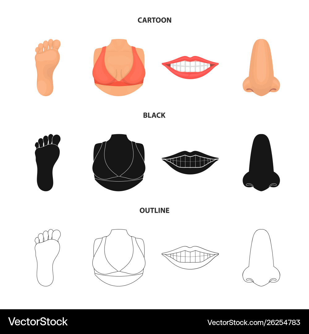 Isolated object body and part logo collection Isolated object body and part logo collection vector image