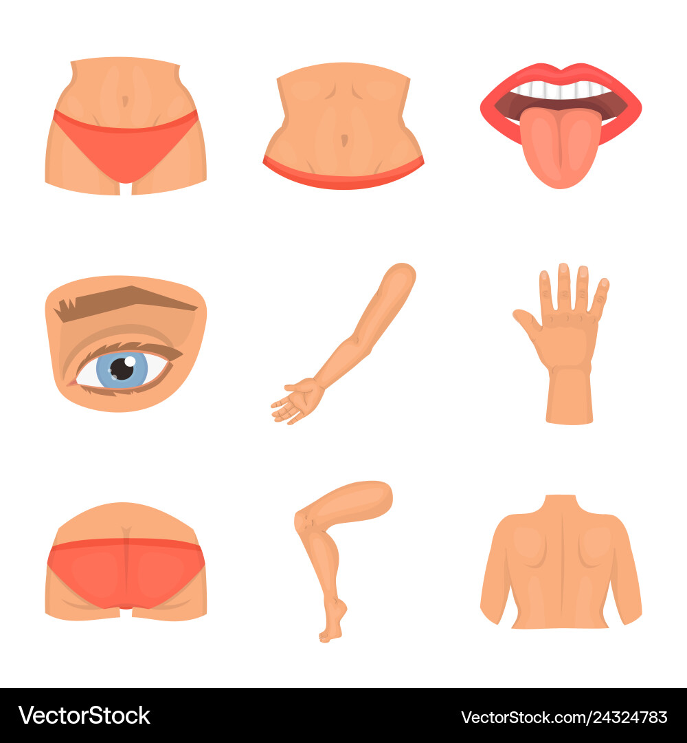 Isolated object of body and part symbol set vector image