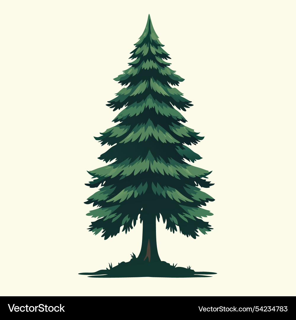 Pine tree design with layered triangular branches Vector Image