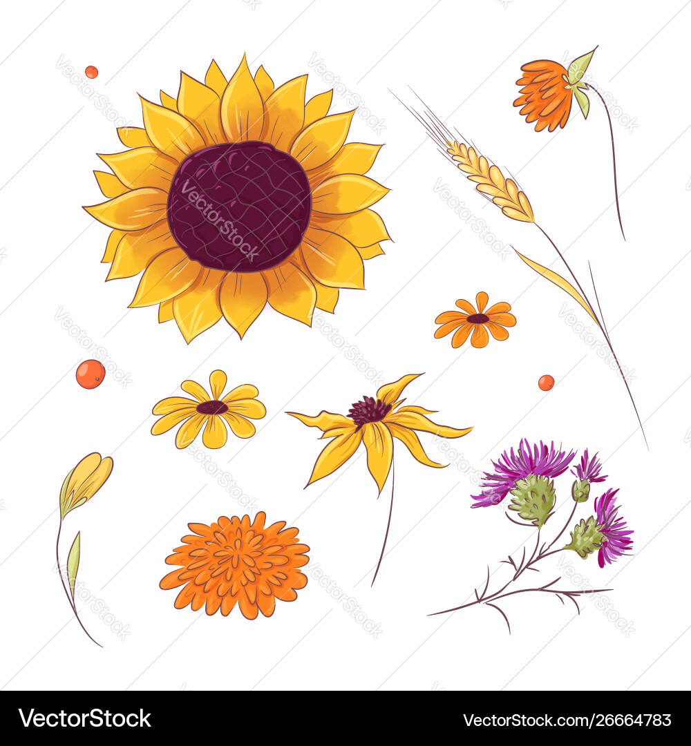 Set in style hand drawing autumn and fall Set in style hand drawing autumn and fall vector image