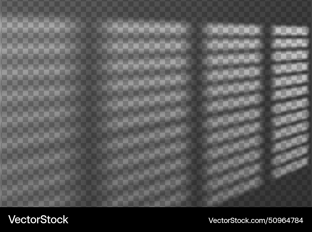 Light effect shadow overlay from window shutter vector image