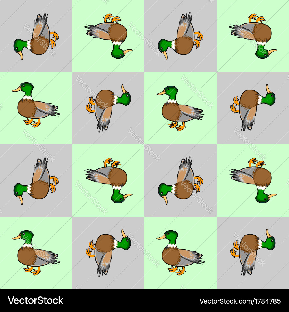 Design seamless colorful checked pattern with duck vector image