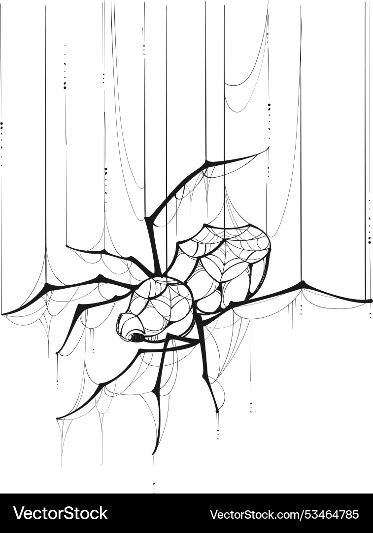 Spider web outline hang weave net concept drawing vector image
