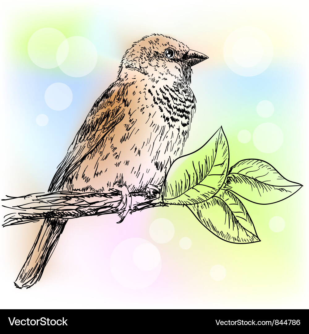 Elegant Sparrow Branch Vector Image