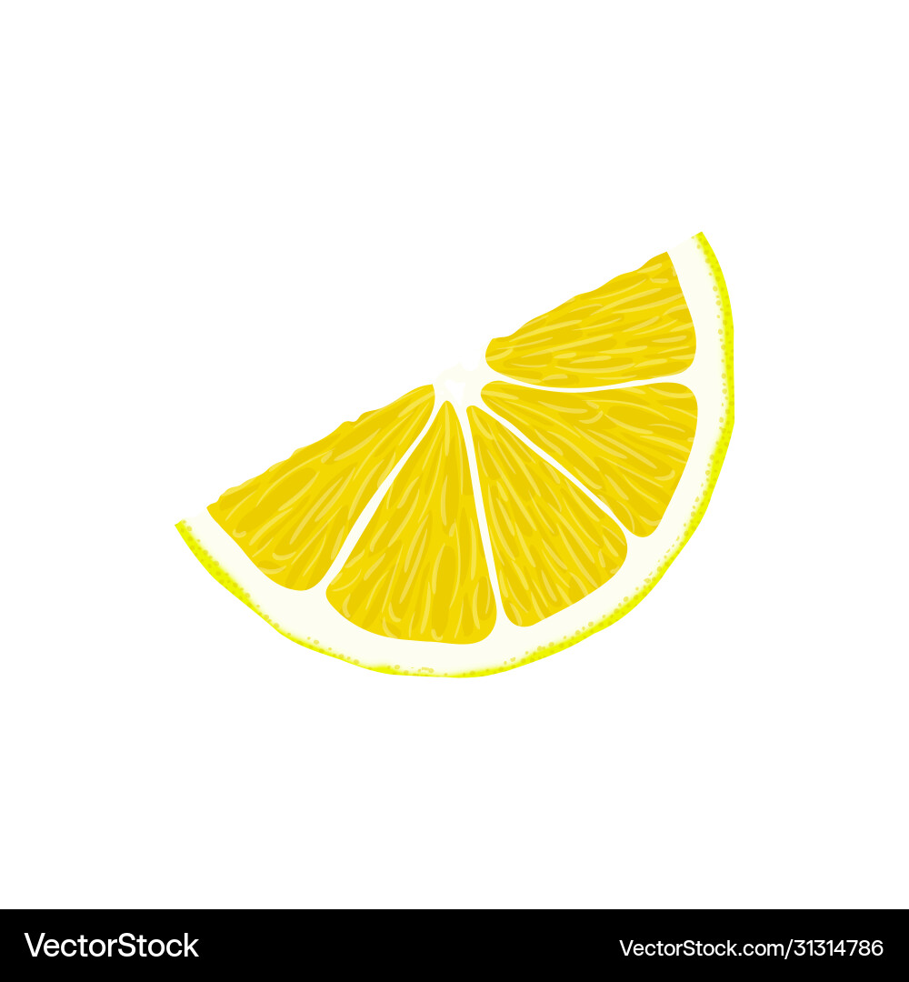Realistic lemon slice isolated – Royalty-Free Vector | VectorStock, image size:1000x1080