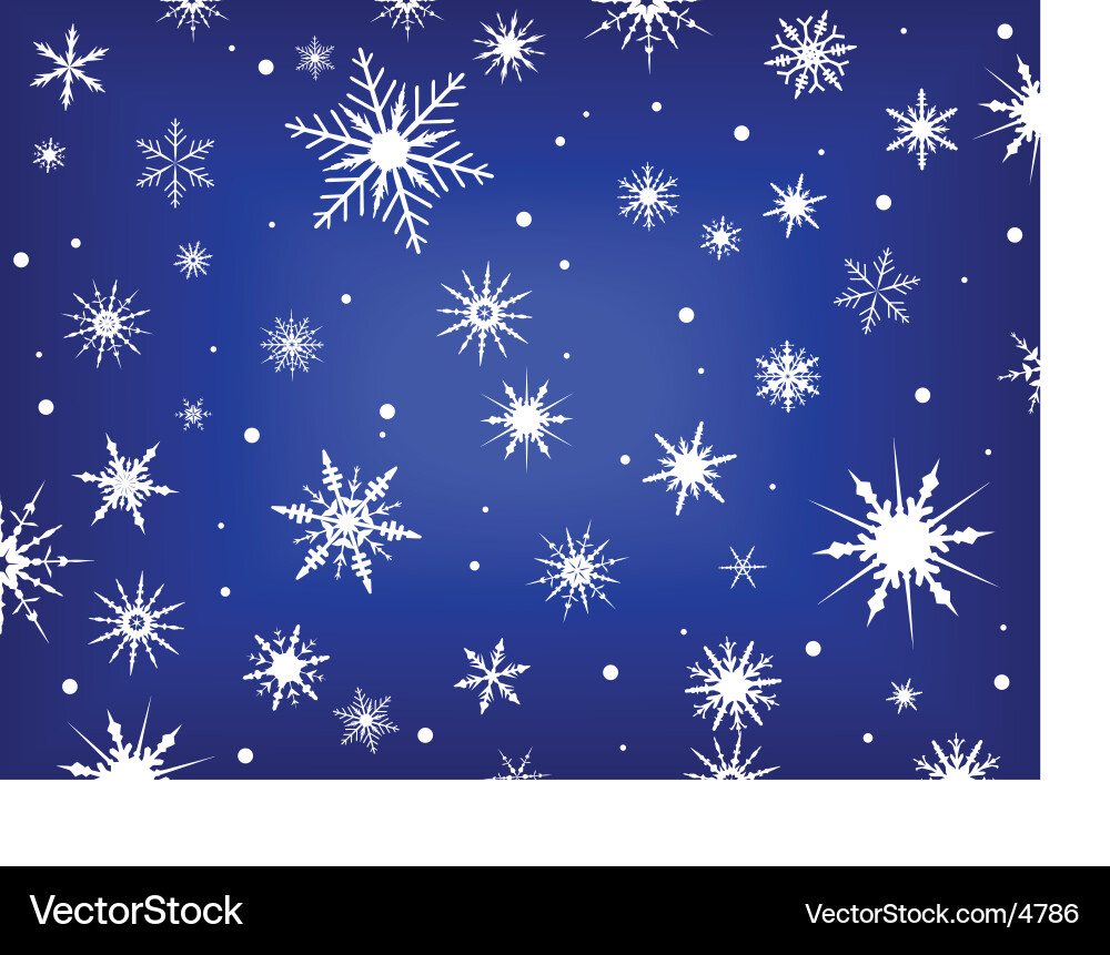 Winter Snowflake Pattern vector image