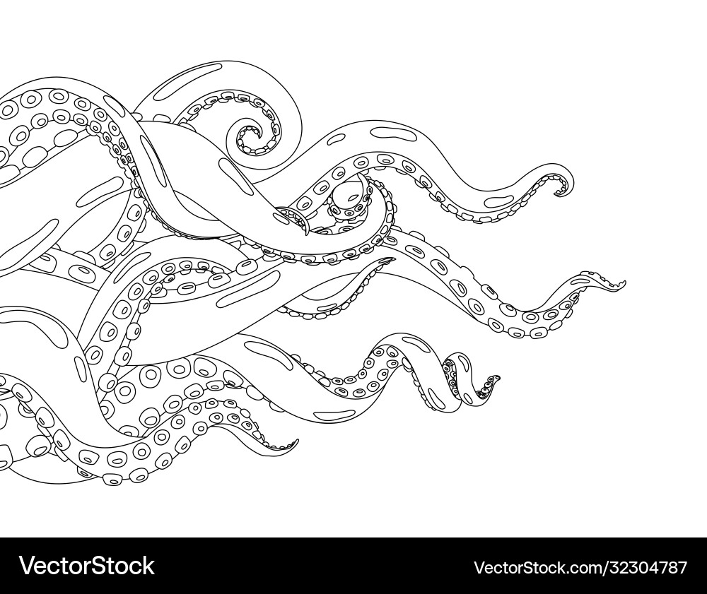 Hand-Drawn Octopus Tentacles Royalty Free Vector Image