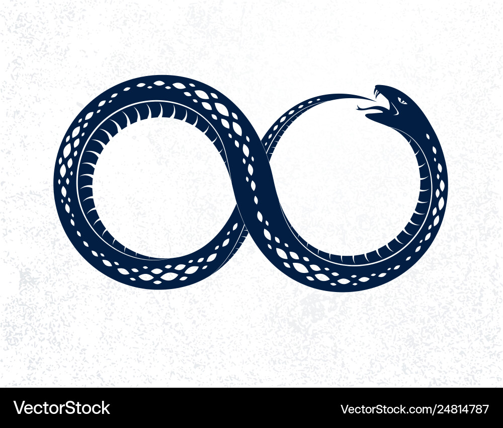 Snake eating its own tale uroboros Snake eating its own tale uroboros vector image