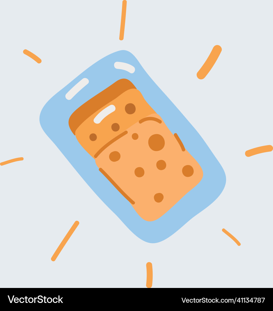Tray container with slice Vector Image