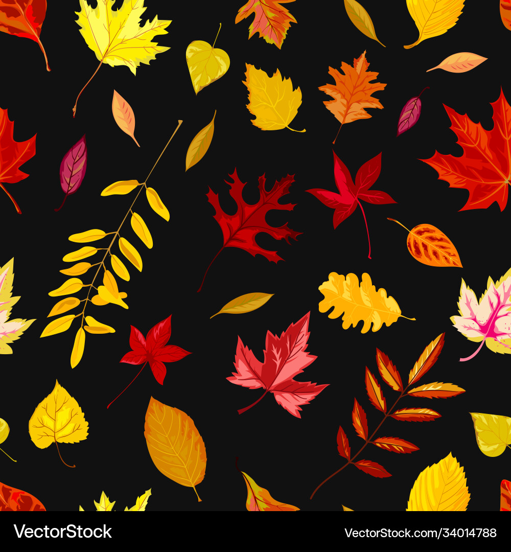 Autumn leaves falling from trees foliage Vector Image