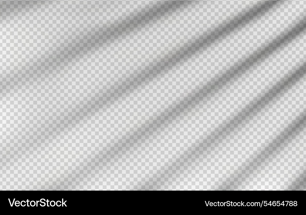 Light effect shadow overlay from blind isolated vector image