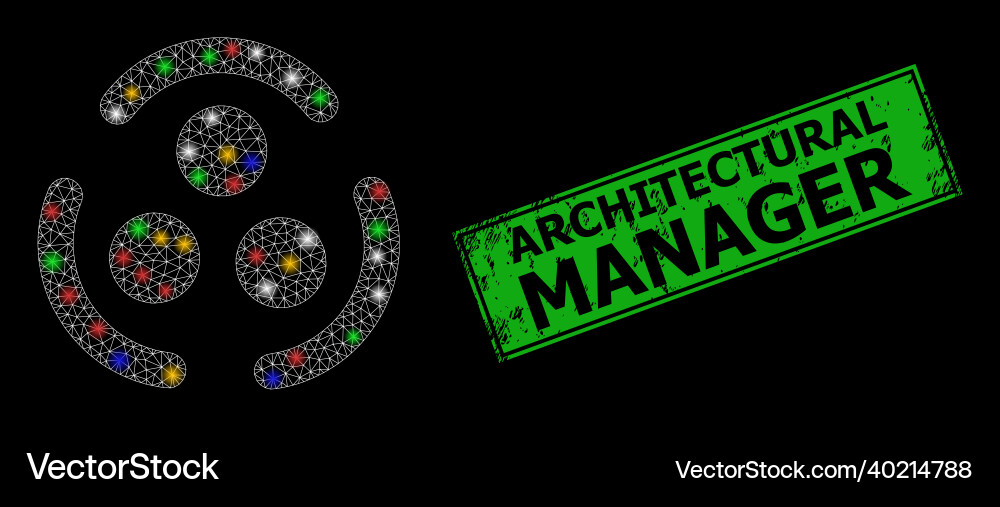 Scratched architectural manager seal with mesh Vector Image