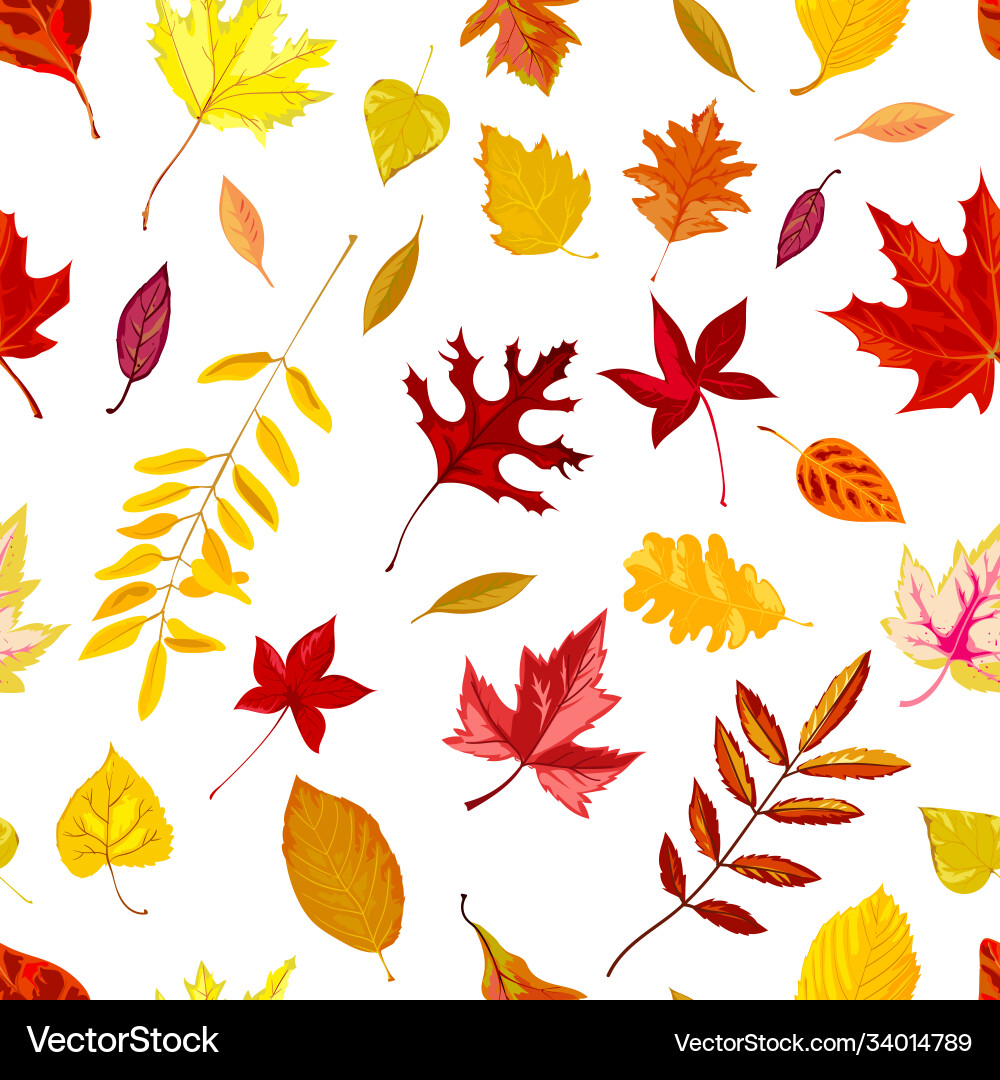 Autumn Leaf Pattern vector image