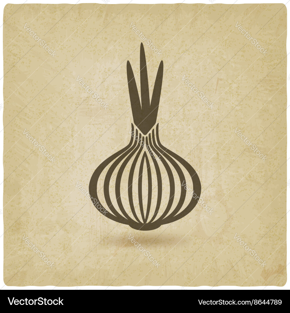 Onion old background Vector Image