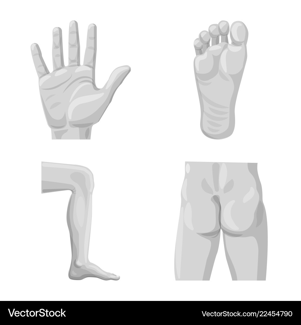 Isolated object of human and part icon collection Isolated object of human and part icon collection Vector Image
