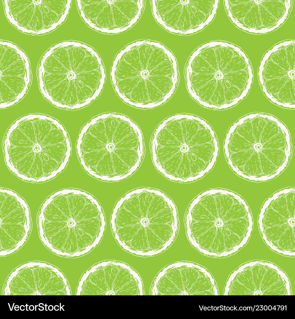 Lime Slice Pattern vector image