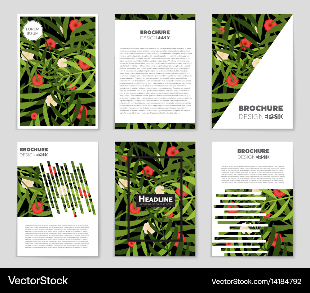 Abstract layout background set for art vector image
