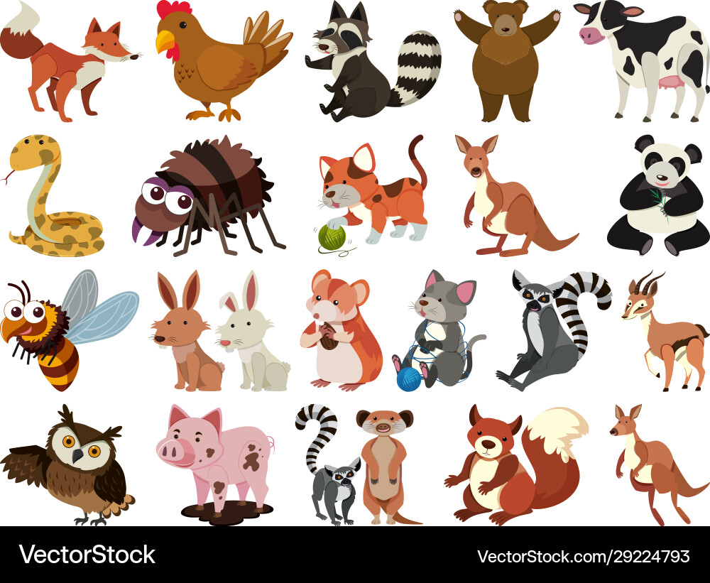 Set isolated objects theme animals Set isolated objects theme animals vector image