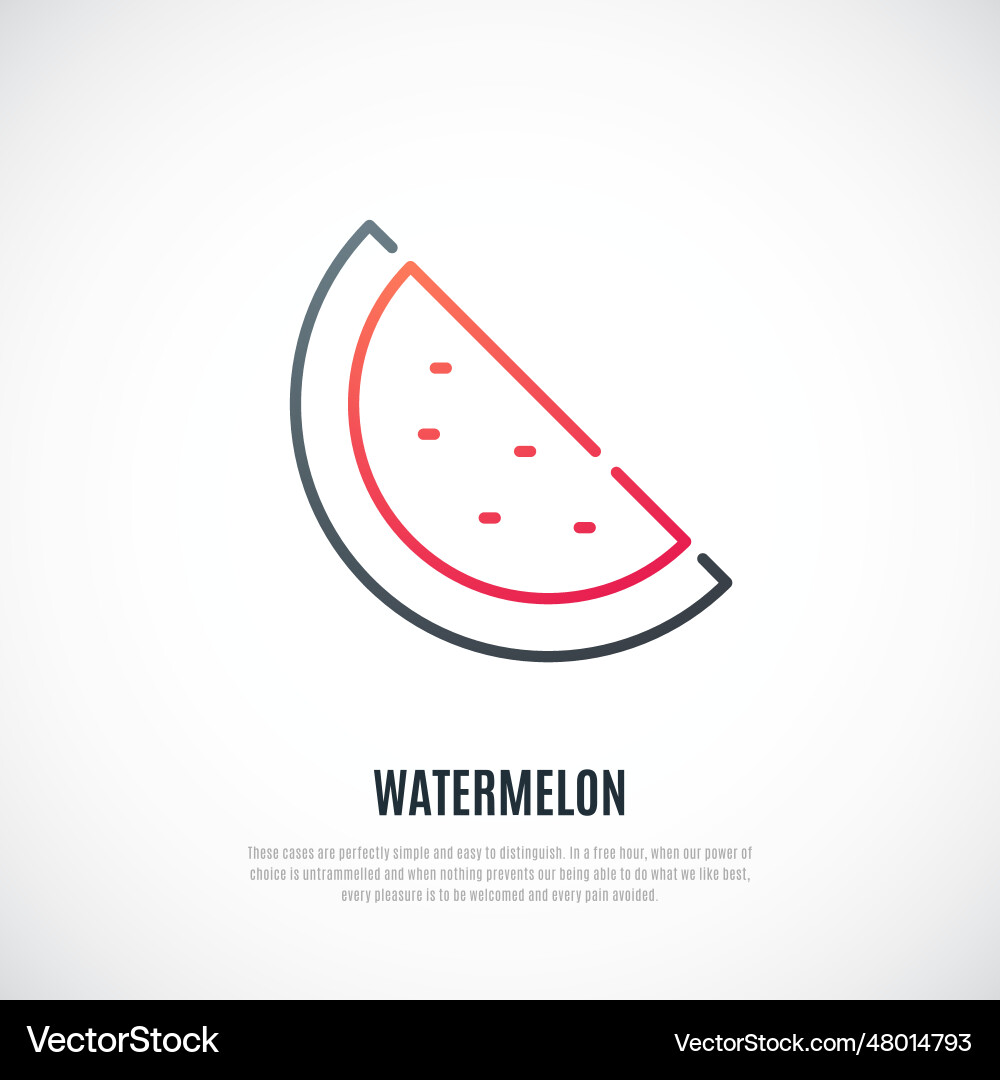 Slice of watermelon isolated on white background vector image