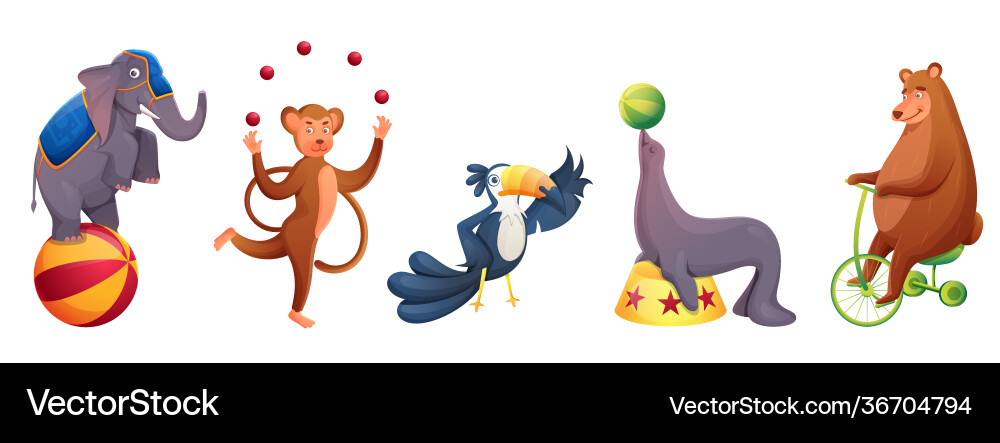 Circus animals doing performance in various types Vector Image