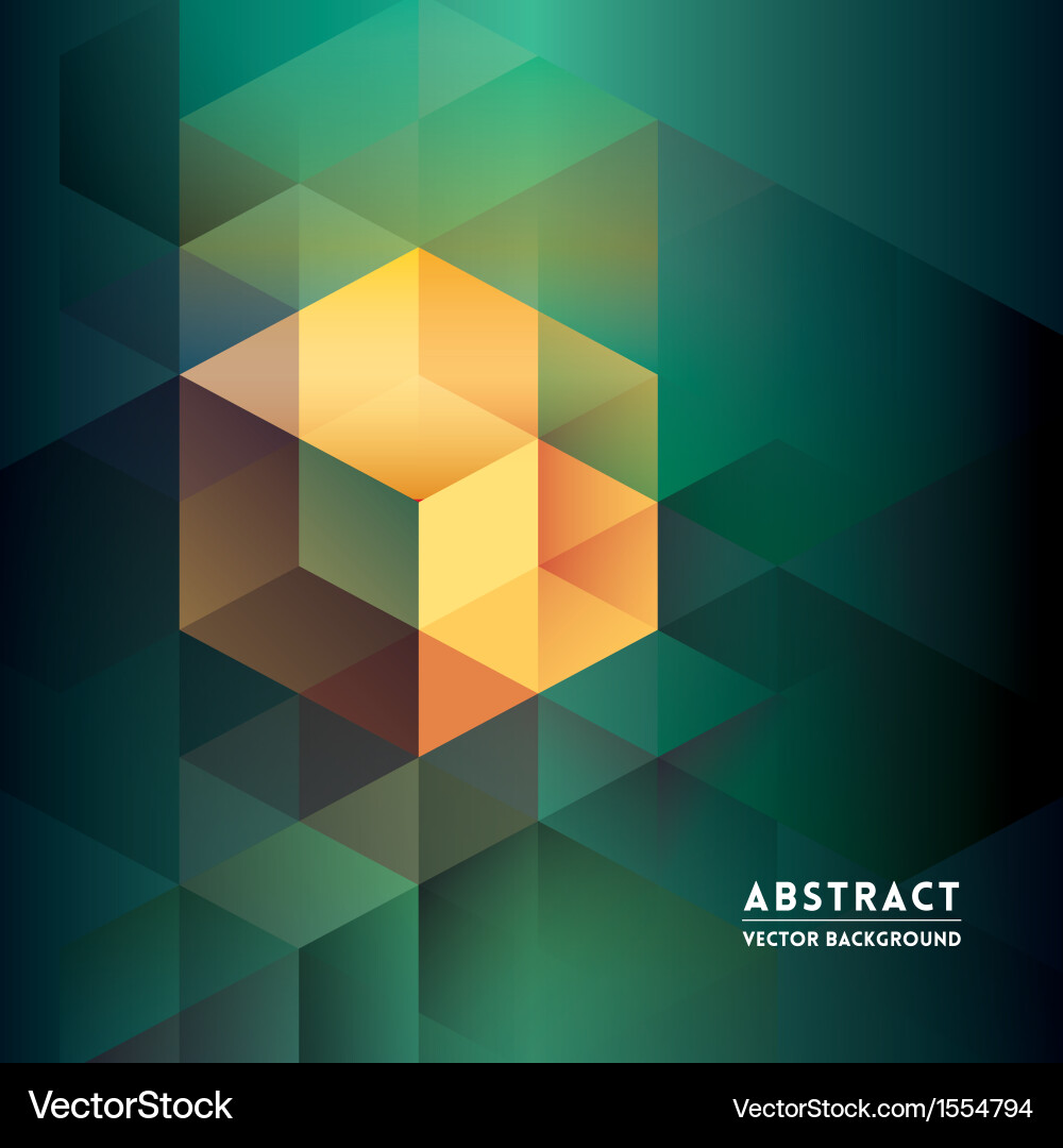 Geometric Isometric Background vector image