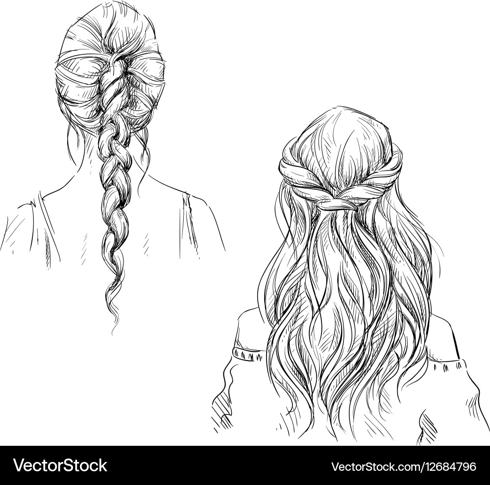 Braids Royalty Free Vector Image - VectorStock