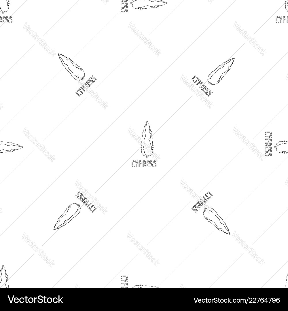 Cypress pattern seamless vector image