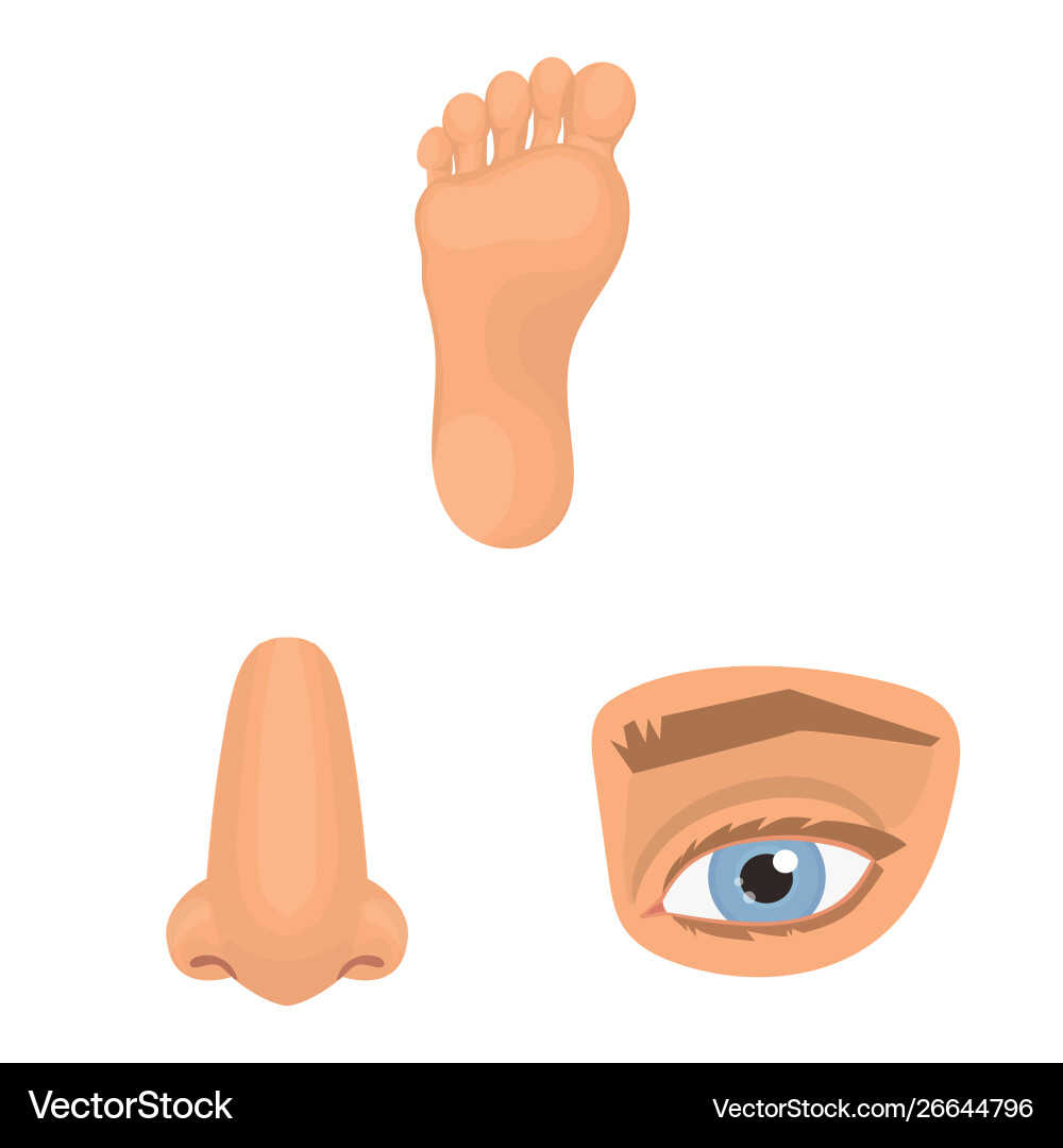 Design body and part symbol set Design body and part symbol set vector image