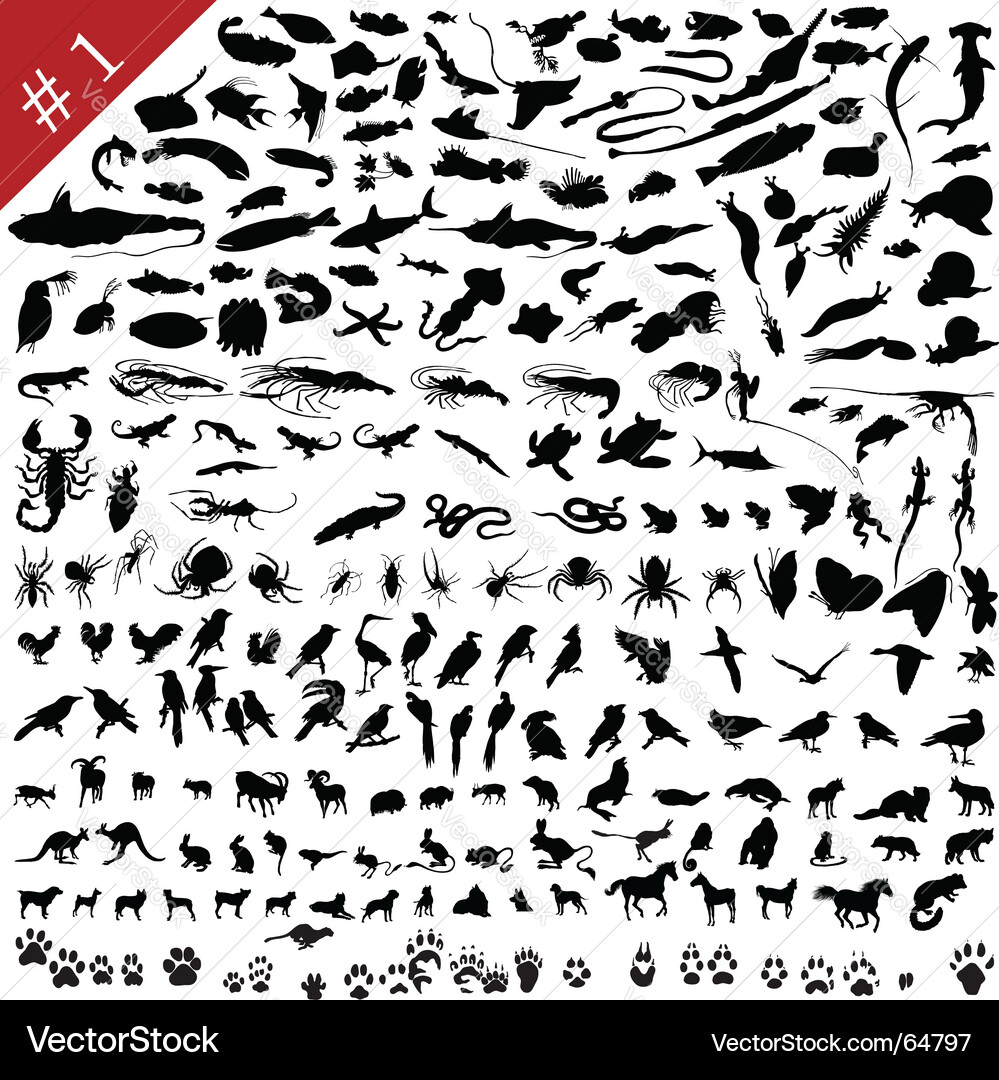 Animal Silhouettes Collection Vector Image