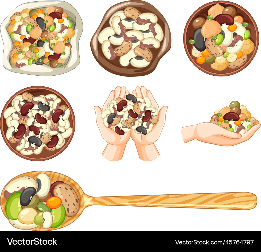 Set of different nuts Set of different nuts Vector Image