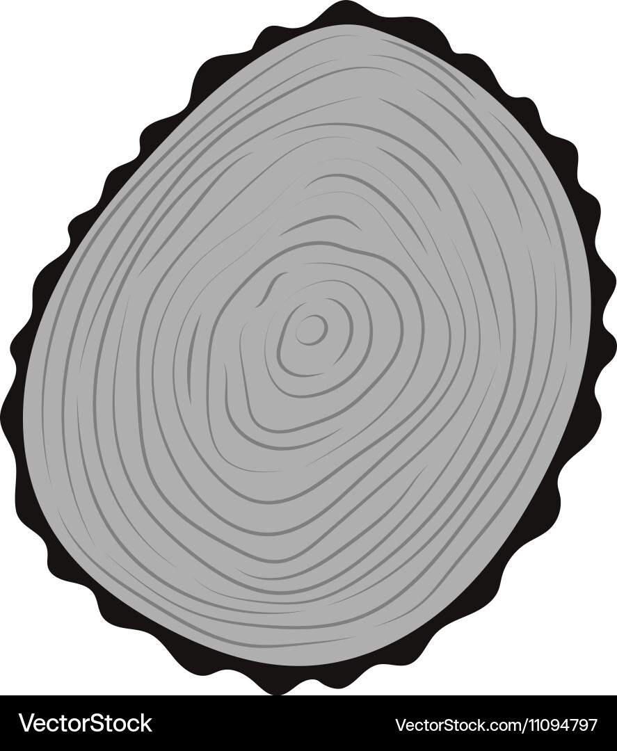 Tree slice isolated Vector Image