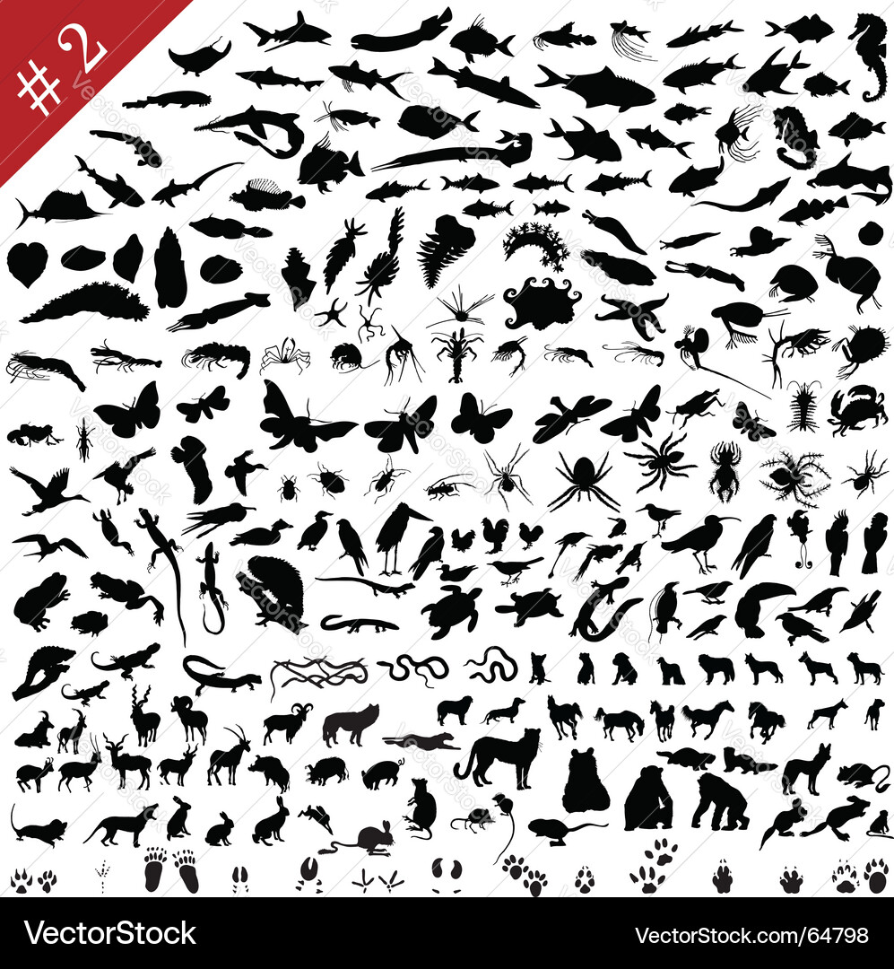 Animal Footprints & Silhouettes Vector Image