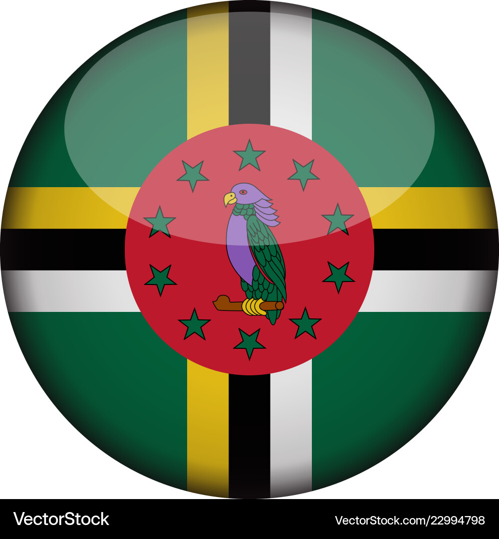 Dominica flag in glossy round button of icon Dominica flag in glossy round button of icon Vector Image