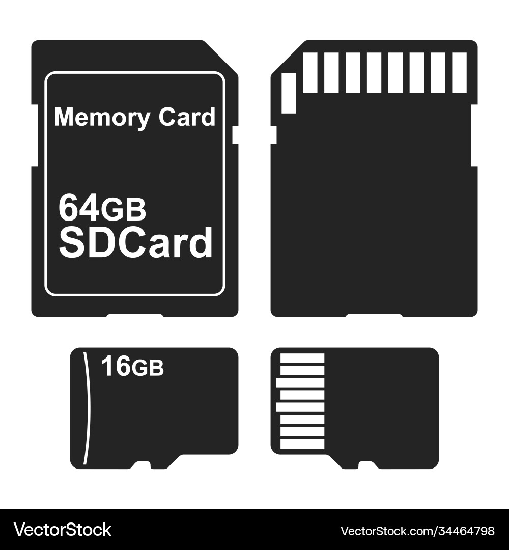 Sd and micro memory card icon isolated Sd and micro memory card icon isolated vector image