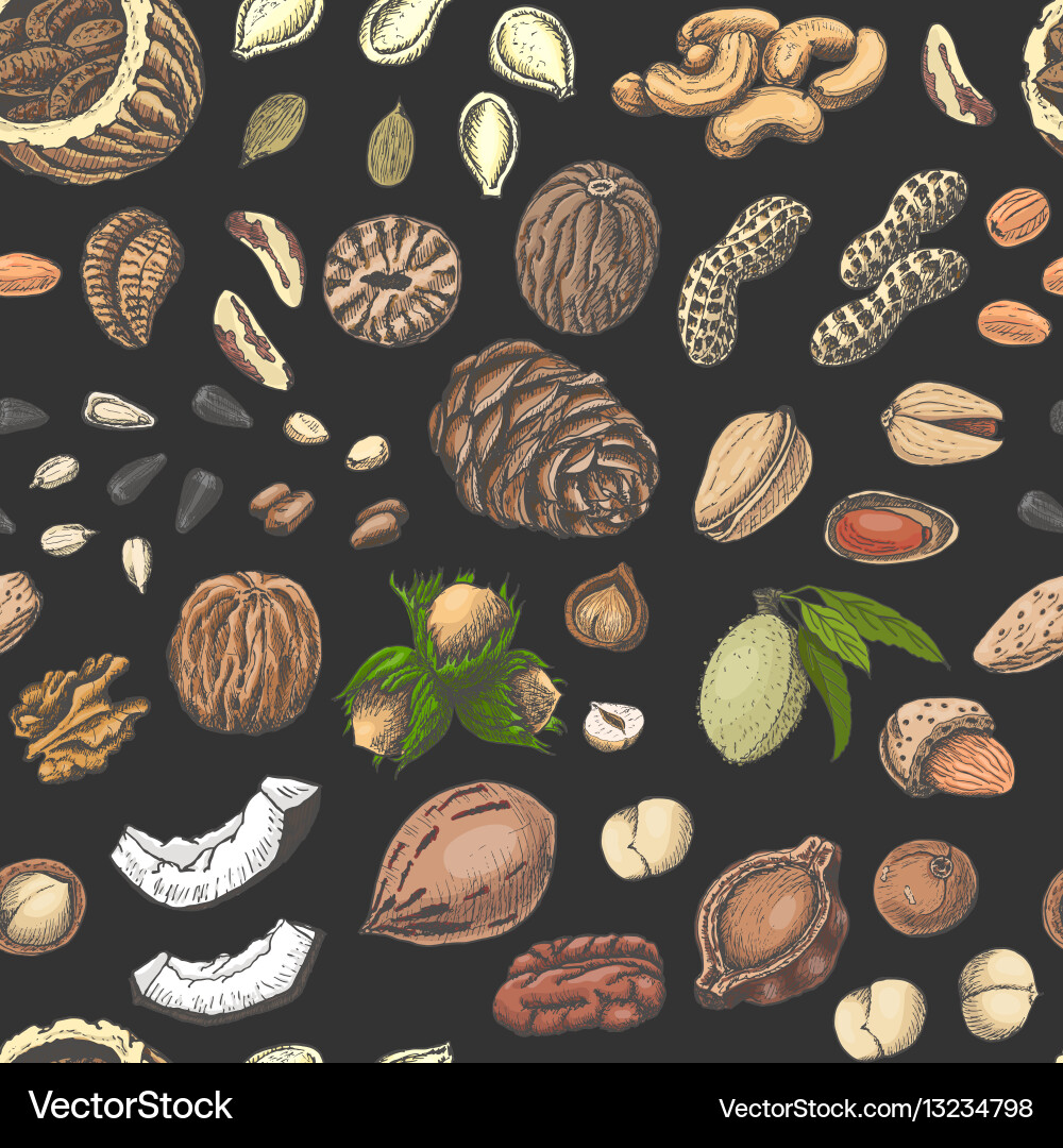 Seamless pattern with colored nuts and seeds Vector Image