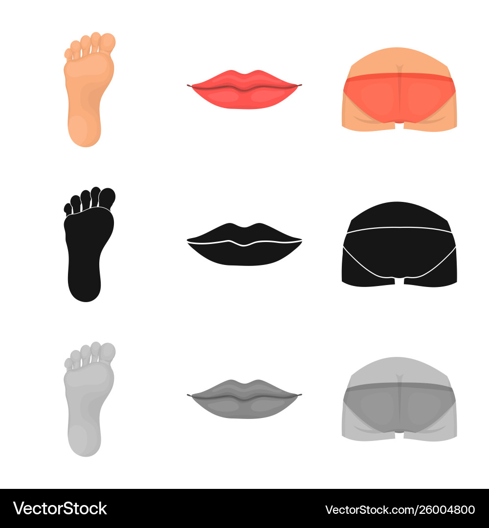 Isolated object body and part logo collection Isolated object body and part logo collection vector image