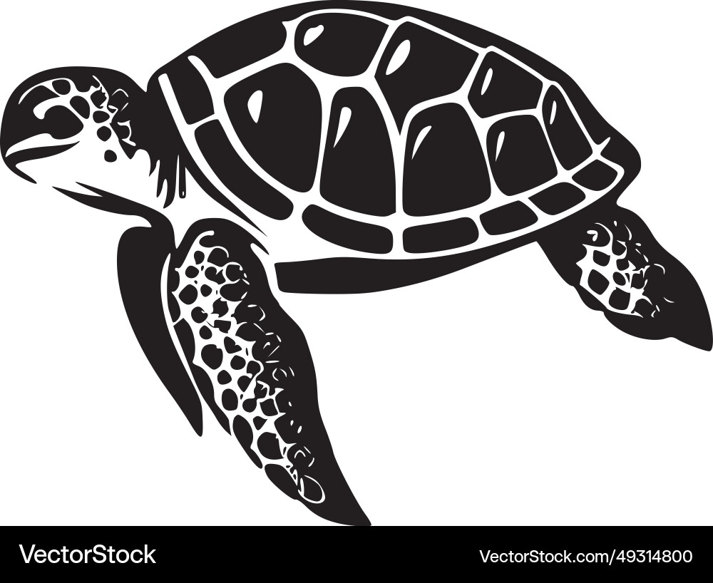 Sea turtle - black and white isolated icon Vector Image