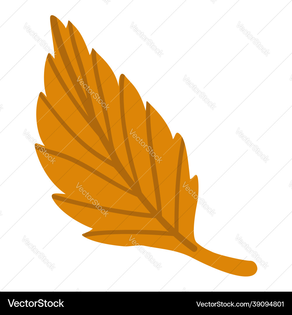 Isolated element autumn leaf the print Isolated element autumn leaf the print vector image