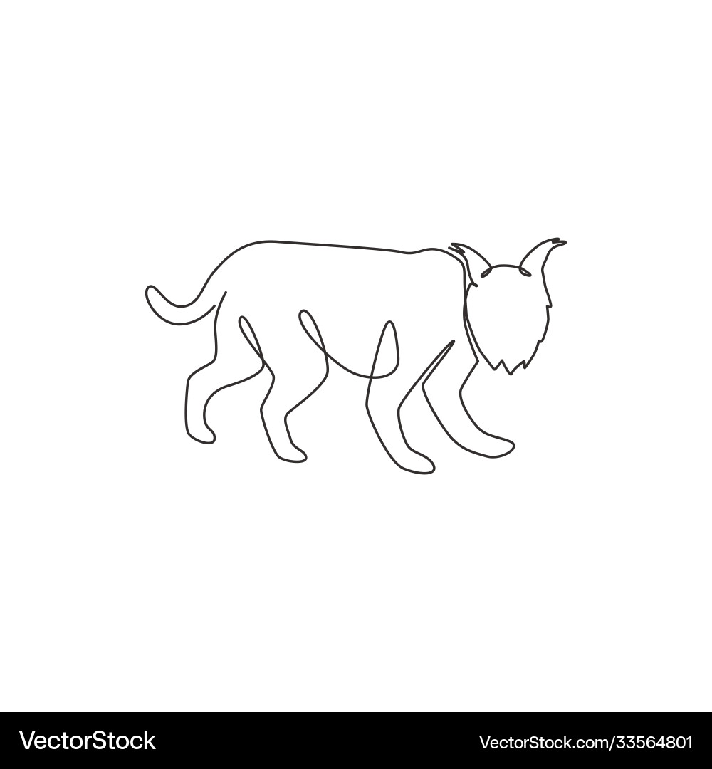 One continuous line drawing fierce lynx Vector Image