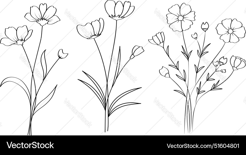 Flower Outline Drawing Printable