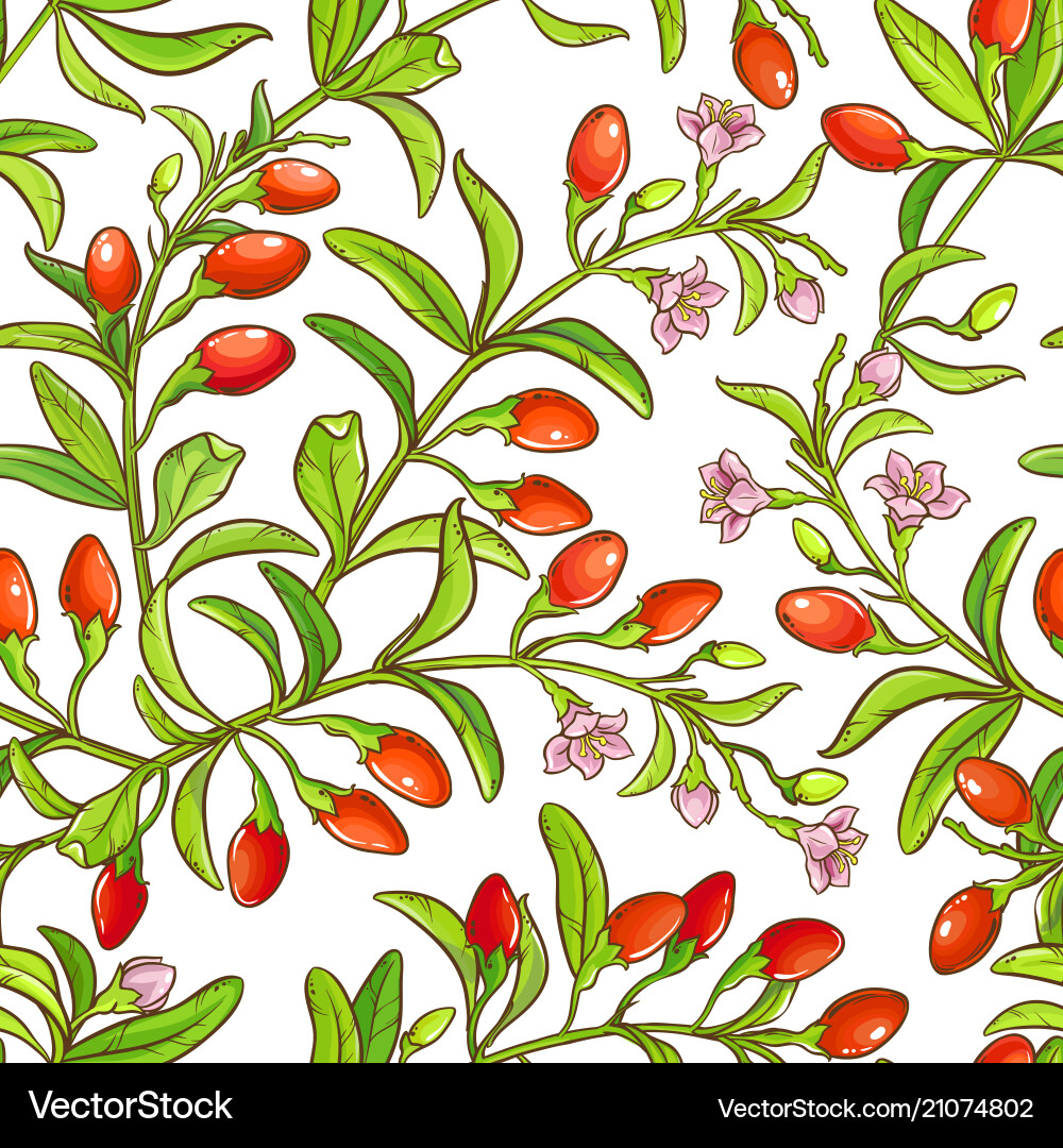 Goji branch pattern Goji branch pattern vector image