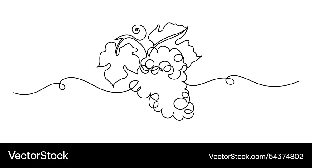 Grape in one continuous line drawing minimalist Grape in one continuous line drawing minimalist vector image