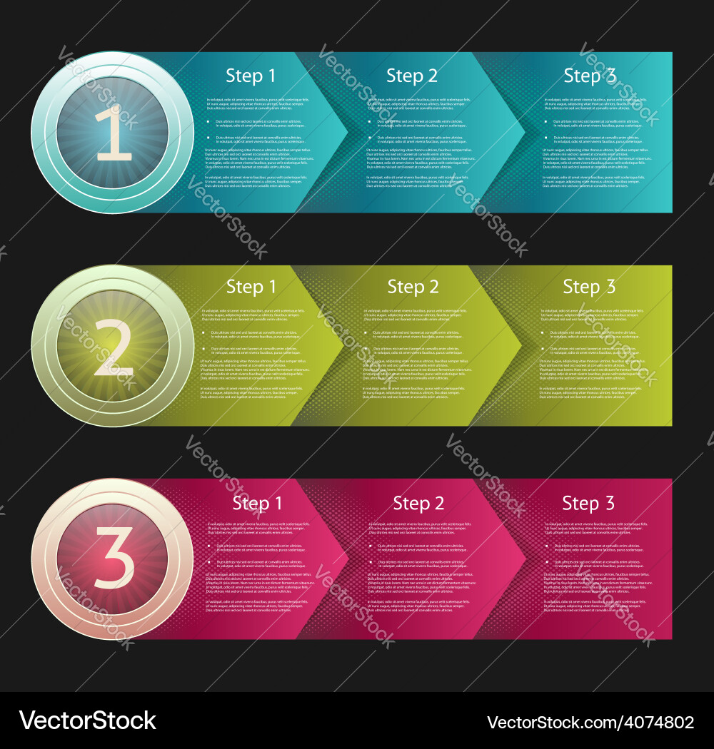 Progress Steps & Layout vector image