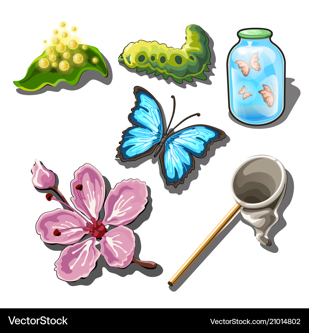 Set of objects on the subject catching vector image