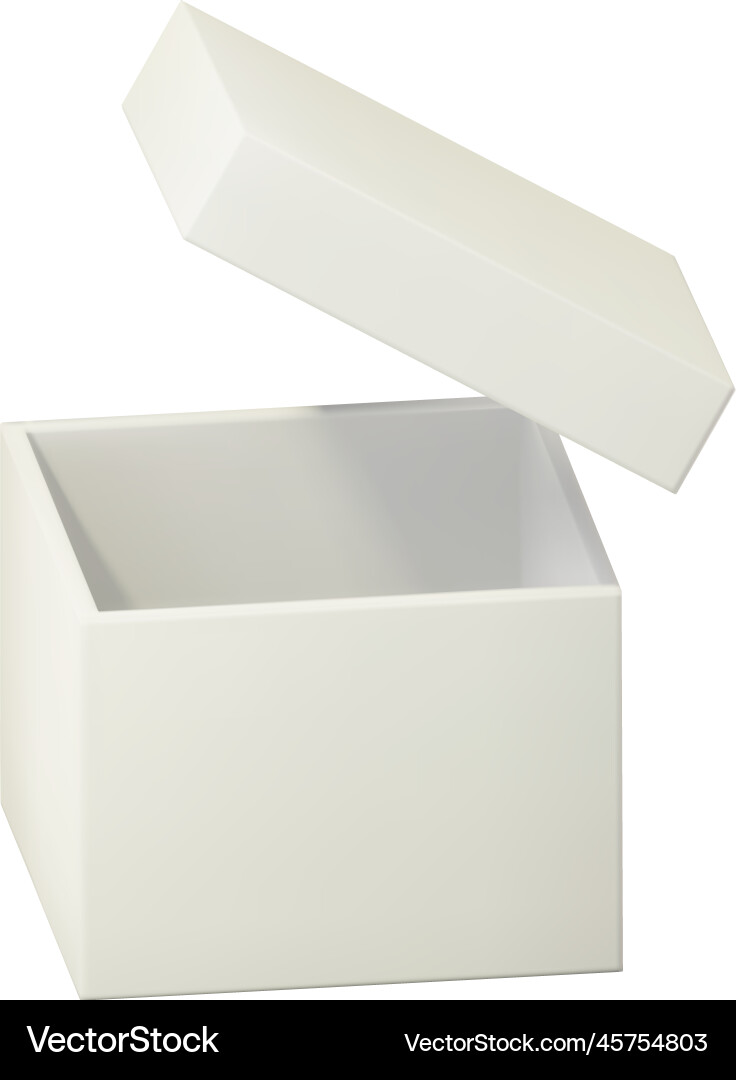 3d template of a white open box isolated Vector Image
