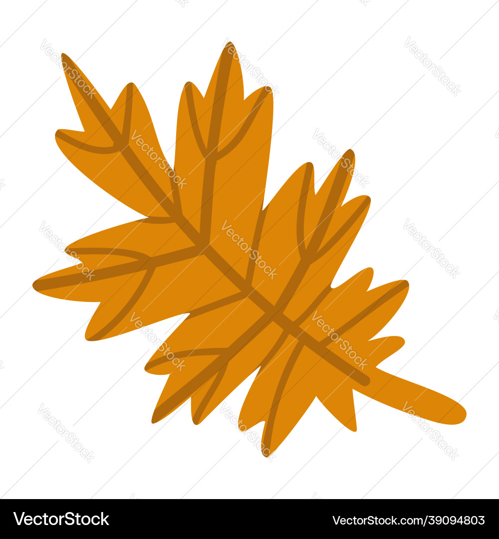 Isolated element autumn leaf the print Vector Image
