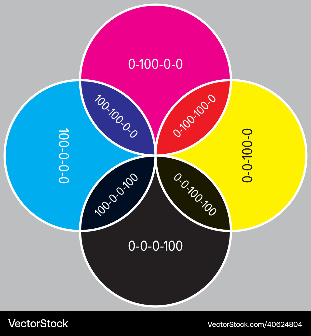 Cmyk wheel with color values 4 parts circle chart Vector Image