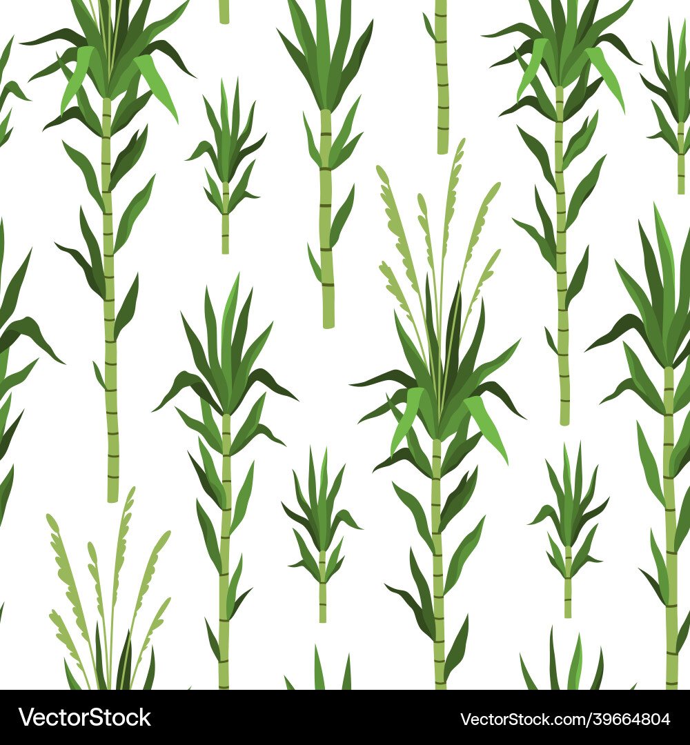 Seamless pattern bamboo tree sugarcane plant Seamless pattern bamboo tree sugarcane plant vector image