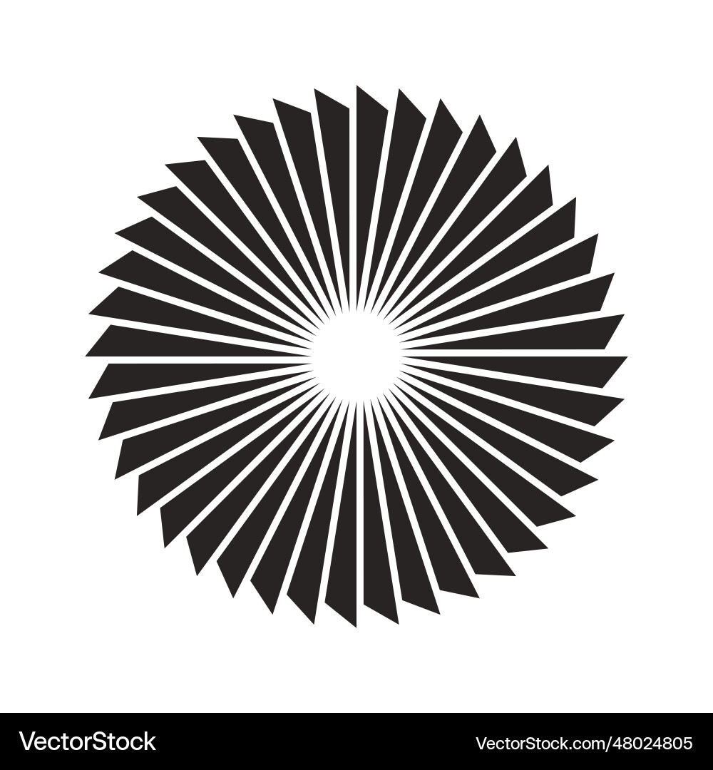 Circular pattern icon vector image