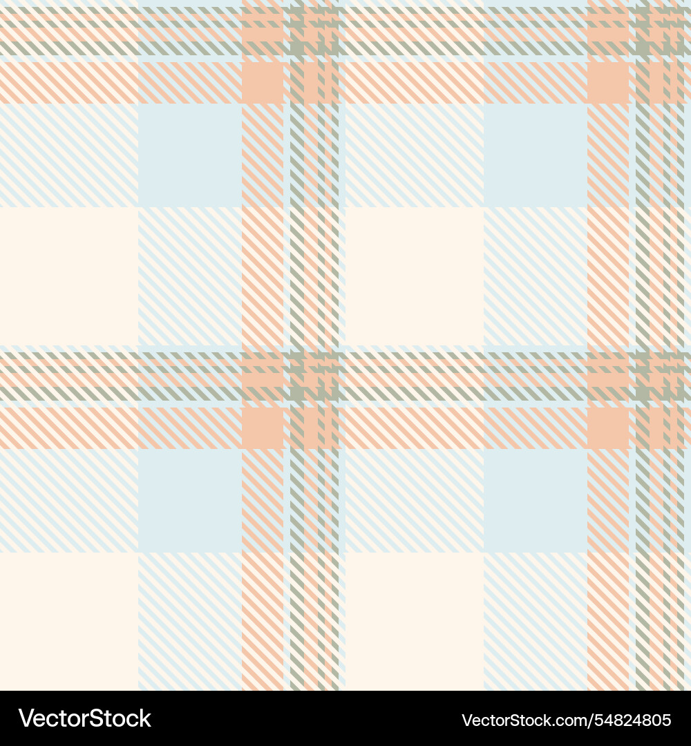 Classic plaid pattern with intersecting lines vector image